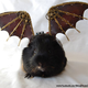 Illustration for article titled Every Pet Guinea Pig Needs A Pair Of Leather Steampunk Wings